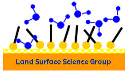 Land Surface Science Group home page